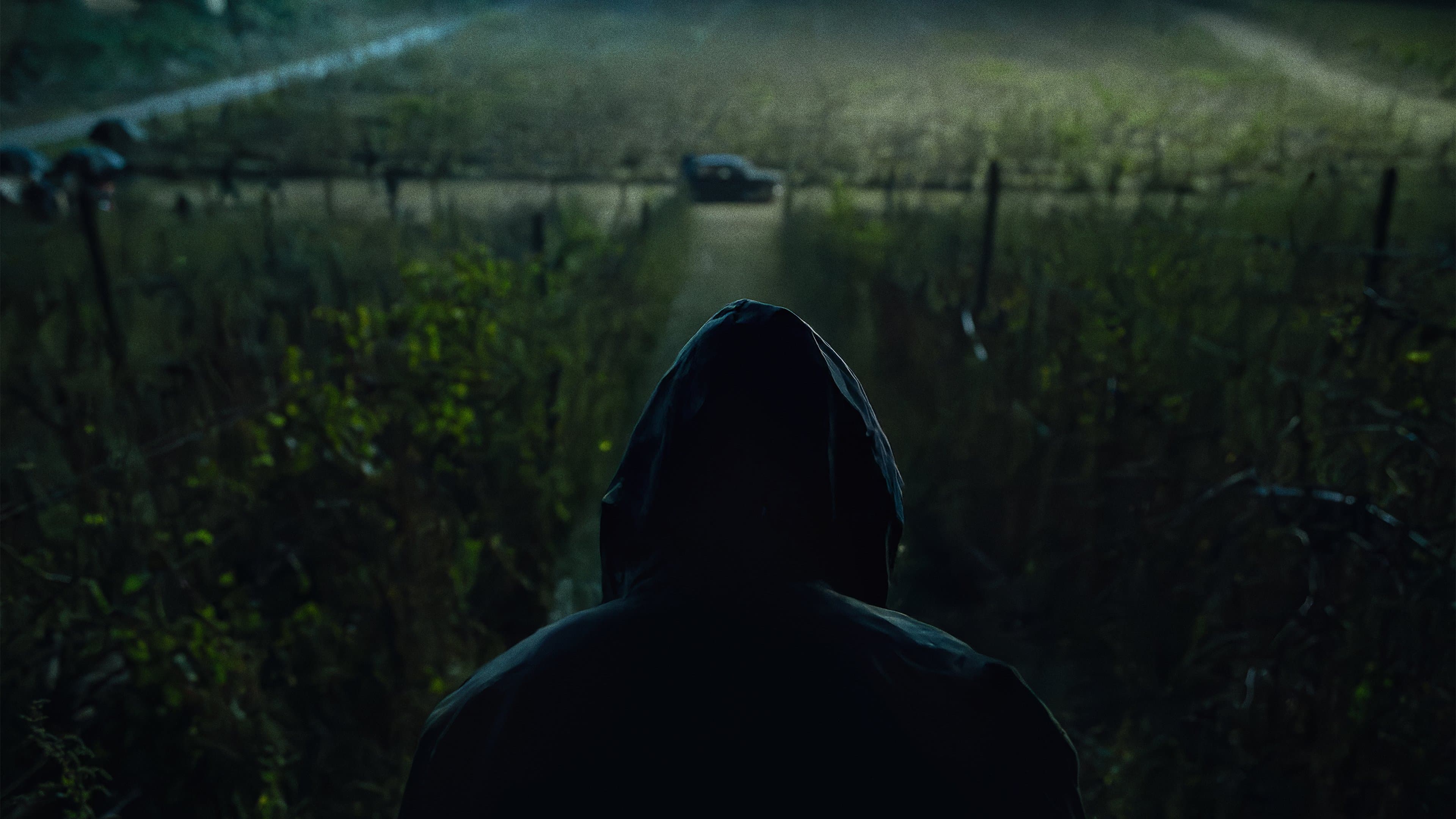 The Monster of Florence